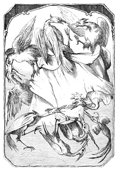 ロバキャベツ、1901 作： Edward Henry Wehnert