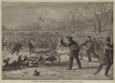 Royal Humane Societyの男性による蛇紋岩の救出 作： Edward Hull
