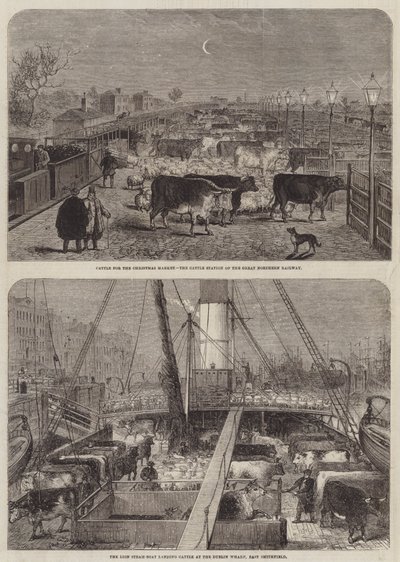 クリスマスマーケットの牛 作： Edward Hull