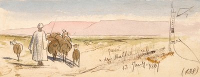 乾いたハルフェ草 作： Edward Lear