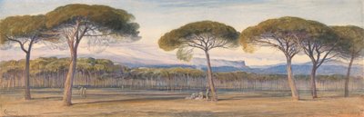 カンヌの松林の眺め 作： Edward Lear