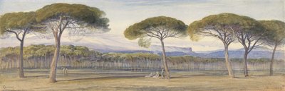 カンヌの上の松林の眺め 作： Edward Lear