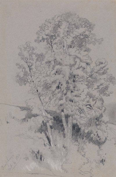 バーファム 1834年10月4日 作： Edward Lear