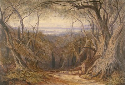 コルフ 作： Edward Lear