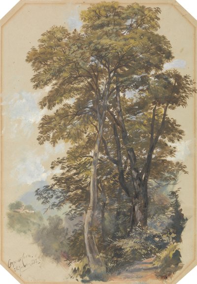  作： Edward Lear