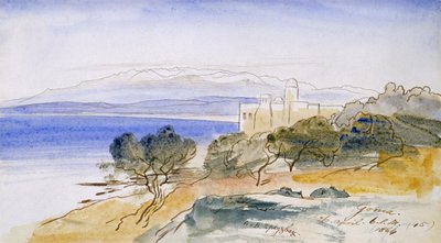 ゴニア、1864（紙にペンとインクとトイレ） 作： Edward Lear