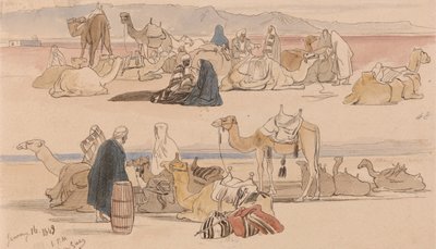 1849年1月16日午後1時、スエズ近郊 (48) 作： エドワード・リア