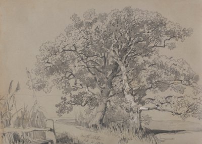 Norte Stok. 21 de outubro de 1834. 作： Edward Lear