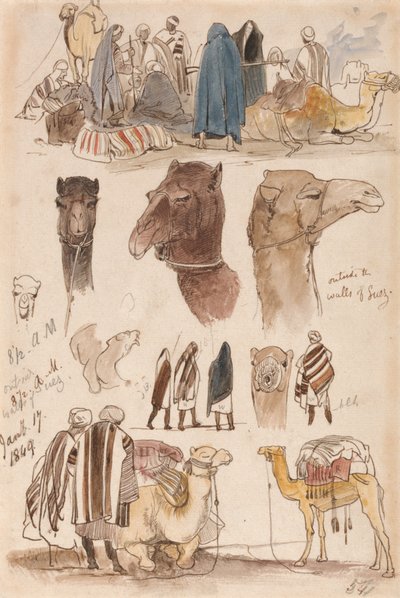スエズの城壁の外、1849年1月17日午前8時30分 (54) 作： Edward Lear
