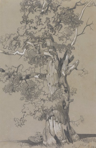 パーハム、1834 年 10 月 13 日 作： Edward Lear
