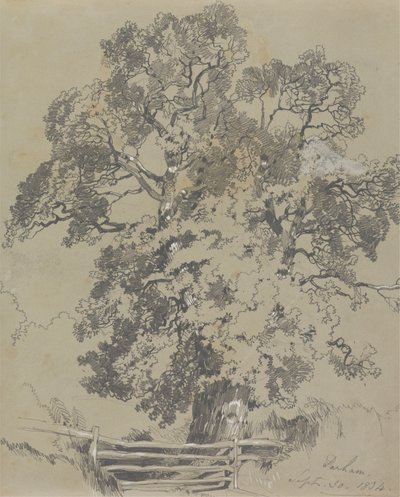 Parham, Sept. 30, 1834   1444063   ja       japanese Successfully Translated  Original: Lismore Castle Translat: Lismore Castle 1445320 ja japanese Successfully Translated Original: Human Skeleton, Lateral View (in Crouching Posture; finished study for an  作： Edward Lear