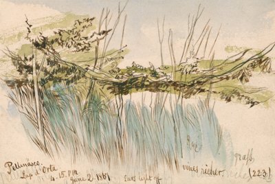 ペテナスコ、オルタ湖 作： Edward Lear