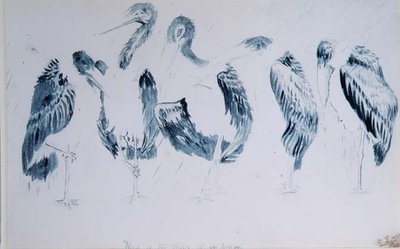 コウノトリの研究 作： Edward Lear