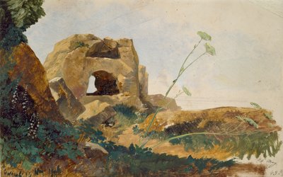 岩と葉の習作、アグリジェント・ジルジェンティ、シチリア、1847年 作： Edward Lear