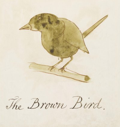 コミックバードの16の絵からの茶色の鳥（紙にペンとインクのトイレ） 作： Edward Lear