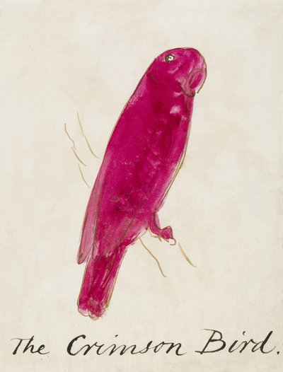 コミック鳥の16の図面からクリムゾン鳥（紙にペン＆インクトイレ） 作： Edward Lear