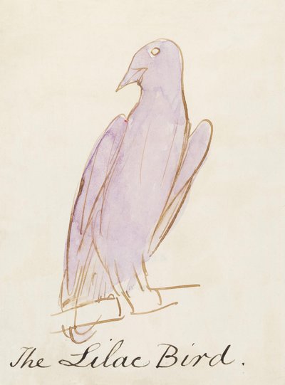 コミック鳥の16の図面からライラックの鳥（紙にペン＆インクWC） 作： Edward Lear