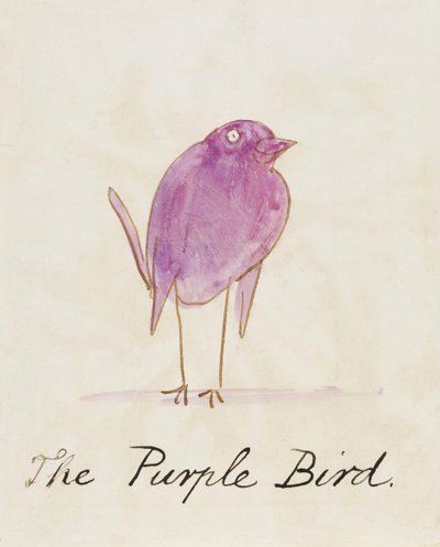 「コミック鳥の16の絵」からの紫鳥 作： Edward Lear