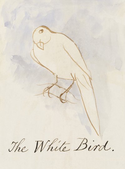 コミック鳥の16枚の絵からの白い鳥（紙にペンとインクWC） 作： Edward Lear