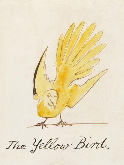 「コミックバードの16の絵」からの黄色い鳥 作： Edward Lear
