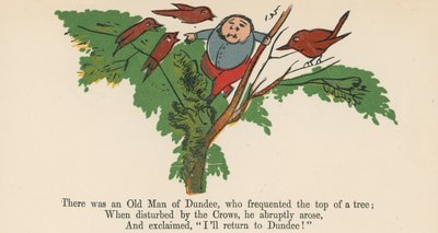 1875年頃、ロンドンのフレデリックウォーンアンドカンパニー発行の「無意味の書」から、木のてっぺんを頻繁に訪れたダンディーの老人がいました。 作： Edward Lear
