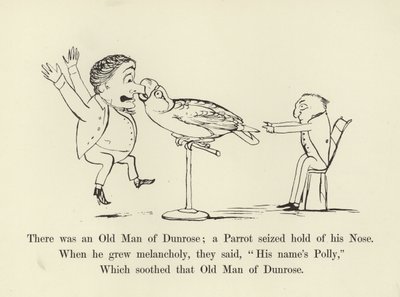 ダンローズの老人がいた。オウムが彼の鼻をつかんだ 作： Edward Lear