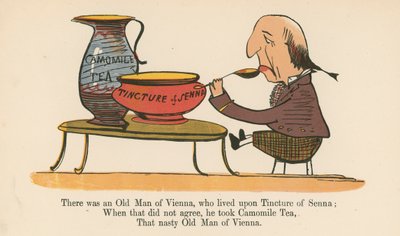 1875年にロンドンのフレデリックウォーンアンドカンパニー発行の「無意味の書」から、セナのチンキに生きたウィーンの老人がいました。 作： Edward Lear
