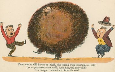 1875年頃にロンドンのフレデリックウォーンアンドカンパニーが発行した「A Book of Nonsense」から、風邪の感覚から抜け出したカビの老人がいました。 作： Edward Lear