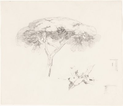『アンブレラ・パイン』およびその他の習作 作： Edward Lear