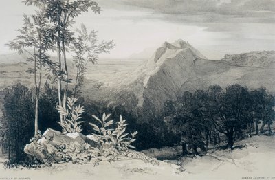 ローマとその周辺の景色：Civitella di Subiaco 作： Edward Lear
