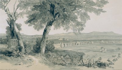 ローマとその周辺の景色：カンパーニャとアルバンを望むローマの城壁 作： Edward Lear
