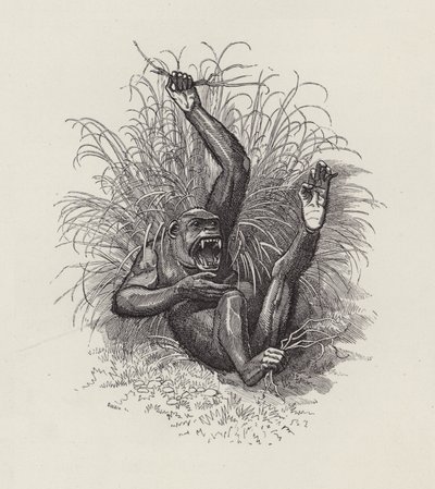 チャールズ・キングスレーの「The Water-Babies」のイラスト（彫刻）。 作： Edward Linley (after) Sambourne