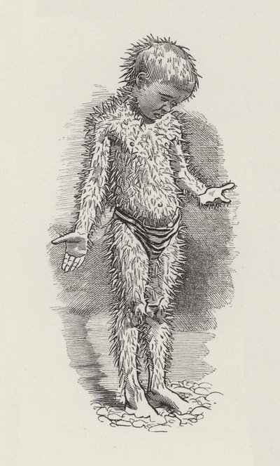チャールズ・キングスレーの「The Water-Babies」のイラスト（彫刻）。 作： Edward Linley (after) Sambourne