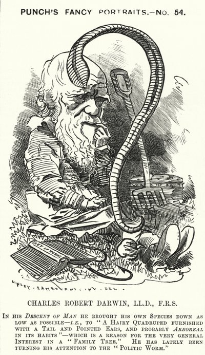 パンチ・カートゥーンチャールズ・ダーウィン（イギリスの博物学者、生物学者）（彫刻 作： Edward Linley (after) Sambourne
