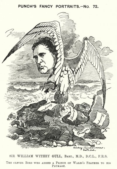 パンチの漫画。Sir William Withey Gull（イギリスの医師、プリンス・オブ・ウェールズの腸チフスを治療し、ヴィクトリア女王の主治医となった）（彫刻 作： エドワード・リンリー（後）サンボーン