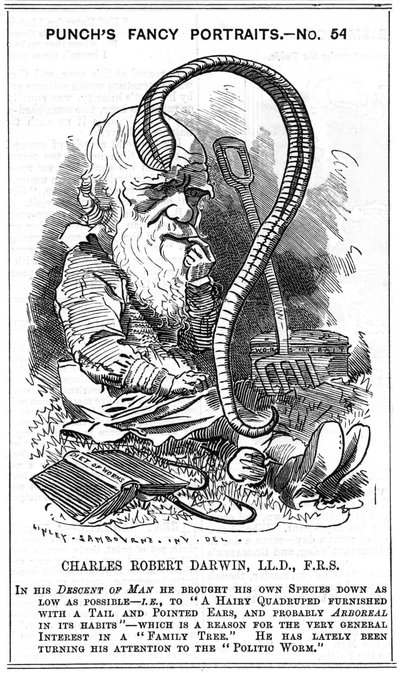 チャールズ・ダーウィン（1809-1882）イギリスの博物学者。自然淘汰による進化。エドワード・リンレイ・サンボーン（1844-1910）による『パンチ』誌の「ファンシー・ポートレート」シリーズの漫画。 作： Edward Linley Sambourne