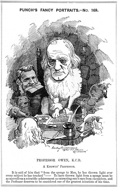 リチャードオーウェン、イギリスの動物学者、1884 作： Edward Linley Sambourne