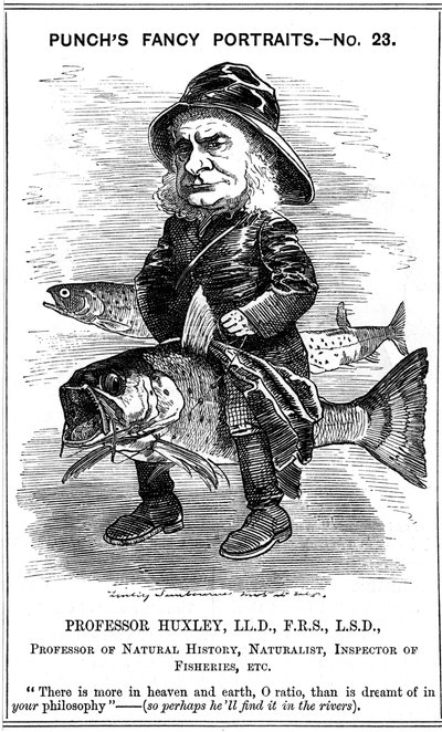 トーマスヘンリーハクスリー、英語の生物学者、1881年 作： Edward Linley Sambourne