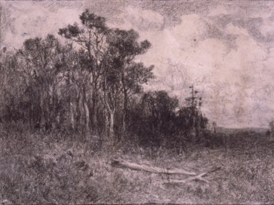 風景、森の風景 作： Edward Mitchell Bannister