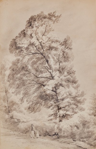 木々のある風景 作： Edward Pretty