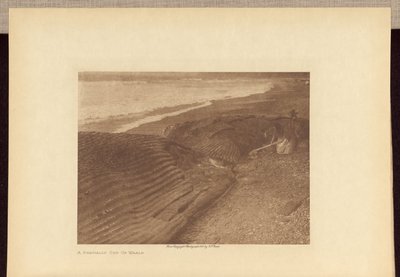 切断されたクジラ 作： Edward S. Curtis