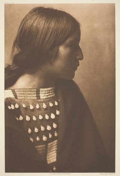アリから 技ｒｌ 作： Edward S. Curtis
