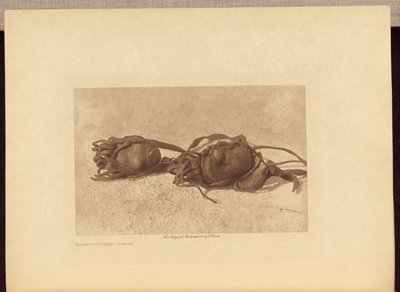 バッファローストーン - Piegan 作： Edward S. Curtis