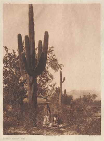 ポートフォリオII、プレート40-75 作： Edward S. Curtis