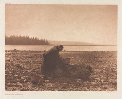 ポートフォリオ IX、プレート 313: ムール貝採集者 作： Edward S. Curtis