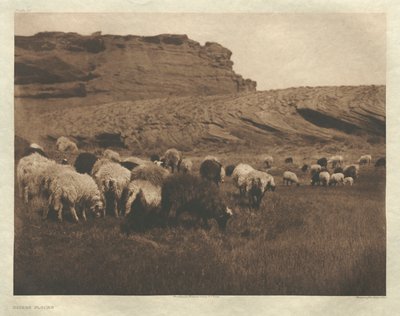ポートフォリオI、プレート33ナバホの群れ 作： Edward S. Curtis