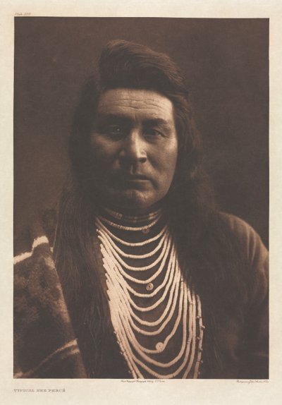 ポートフォリオ VIII、プレート 258: 典型的なネズ パース 作： Edward S. Curtis
