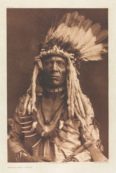 ポートフォリオ VI、プレート 203: イタチの尾 - ピーガン 作： Edward S. Curtis