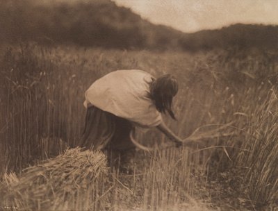  作： Edward S. Curtis