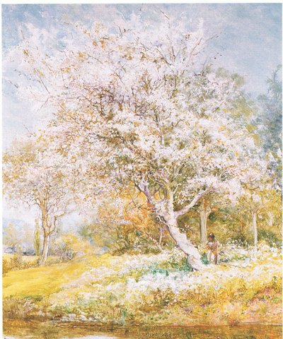 雑誌や本から花を集める 出所不明（カラーリソ） 作： Edward Samuel Harper